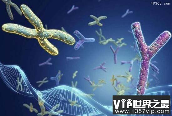 生命起源的7个线索 生物起源矿生新学说