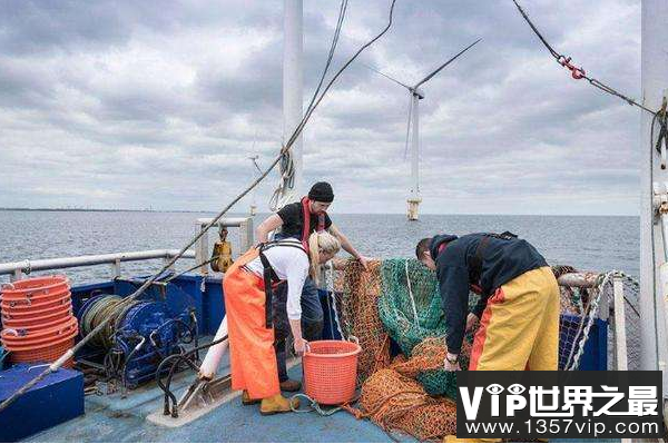 世界四大渔场排行榜 亚洲地区仅北海渔场上榜，欧洲占据两个