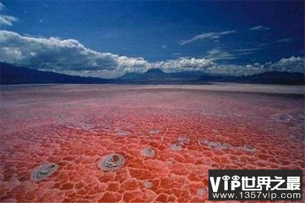 世界十大可怕的河 沸水河和开水没区别，第三有放射性物质