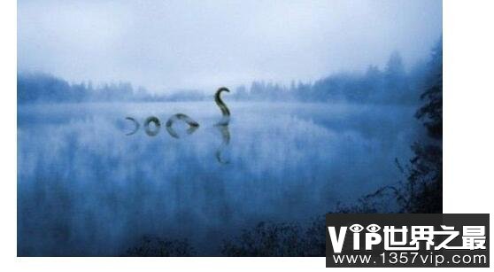 传闻中的尼斯湖水怪图片，真相已被揭开(疑似巨型鳗鱼)