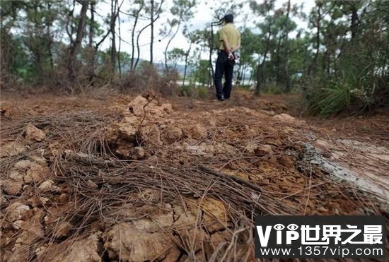 死亡村曾被环境污染，生活在这的村民大多患有癌症