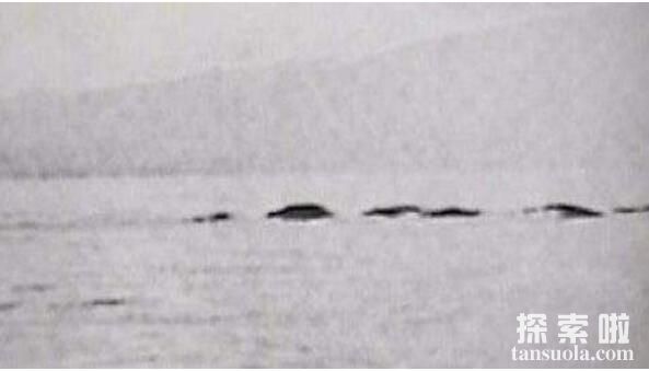 加拿大奥古布古水怪之谜，体长18米游动速度超快(水中恶魔)