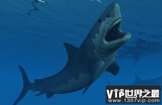 利兹鱼和巨齿鲨谁大，史上最大鱼类利兹鱼揭秘(长27米)