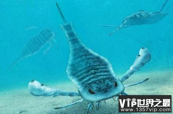 史前十大海洋巨兽排行榜 巨齿鲨上榜,第一生存在3.6亿年前