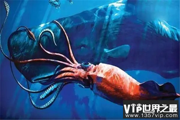 远古最可怕的巨型鱿鱼：远古大鱿体长约5米