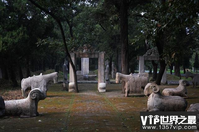 世界上最大的家族墓地：曲阜孔林占地3000多亩