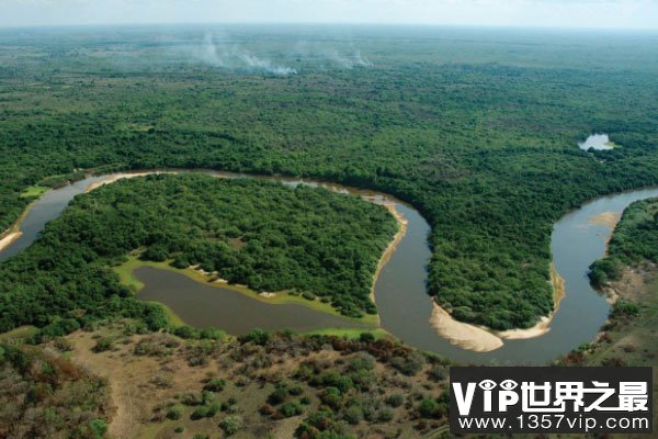 世界上最大的湿地：潘塔纳尔湿地面积24万平方公里