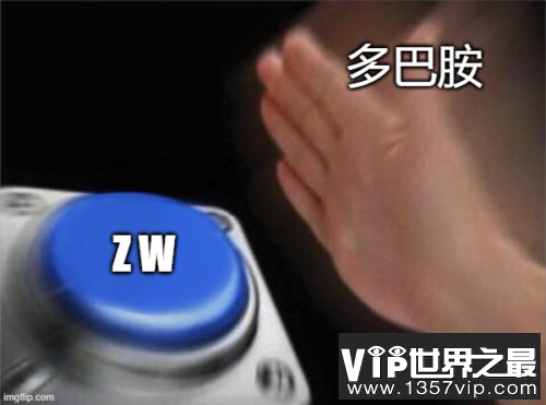 多巴胺：给我ZW！