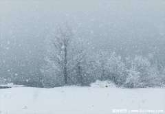 下雪要具备什么条件 大气温度要低(饱和的空气)