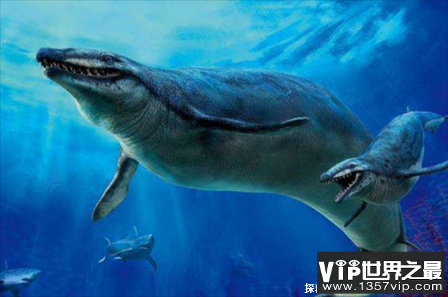 世界上最早的鲸鱼 古蜥鲸是从树上跑下来的(身长18米)