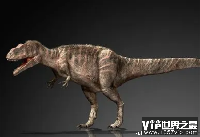 世界上最矮的食肉恐龙 巨兽龙身高只有4米(捕食能力强)