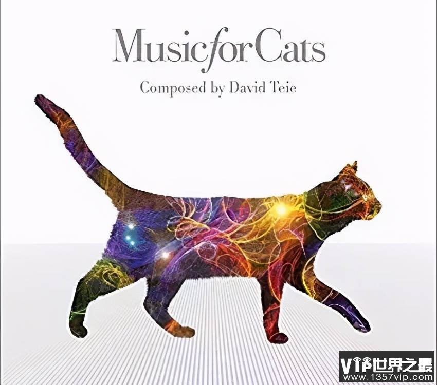 猫喜欢听什么音乐