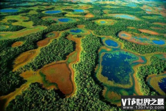 潘塔纳尔沼泽是世界上最大的沼泽地 面积高达2500万公顷