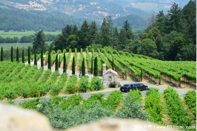 世界十大葡萄酒产区 纳帕山谷是位于美国 (品质很好)