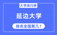 2023年延边大学排名_最新全国排名第几?