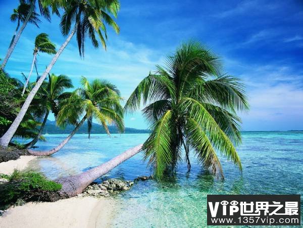 为什么椰子树长在(亚)热带沿海和岛屿周围