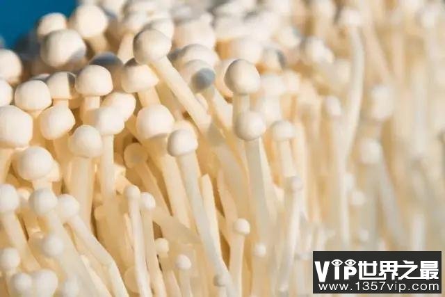 【辟谣】菜市场买的蘑菇真的含有甲醛吗