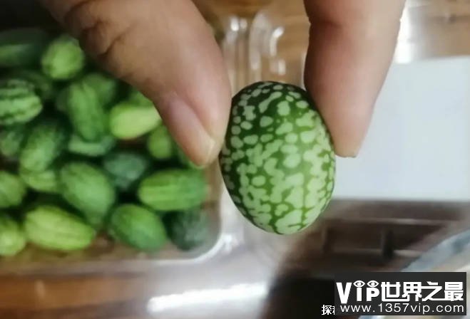 世界上最小的西瓜 拇指西瓜长只有3厘米(味道酸甜)