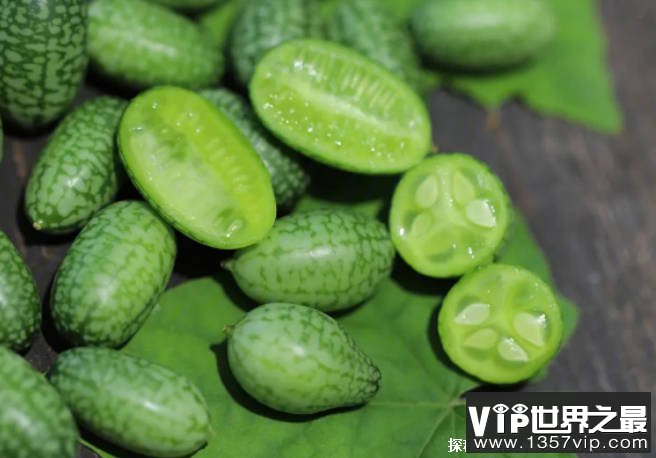 世界上最小的西瓜 拇指西瓜长只有3厘米(味道酸甜)