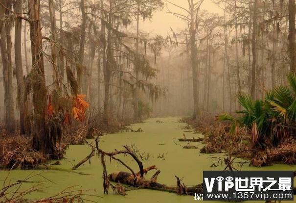 世界上最恐怖的地方 曼查克沼泽被称幽灵沼泽(位于美国)