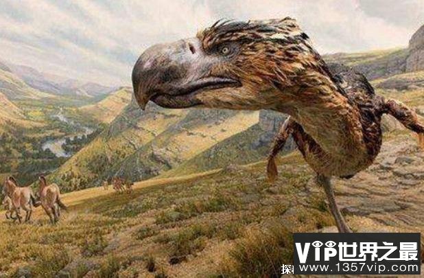 世界上十大最凶猛的史前动物 风神翼龙(体型庞大)