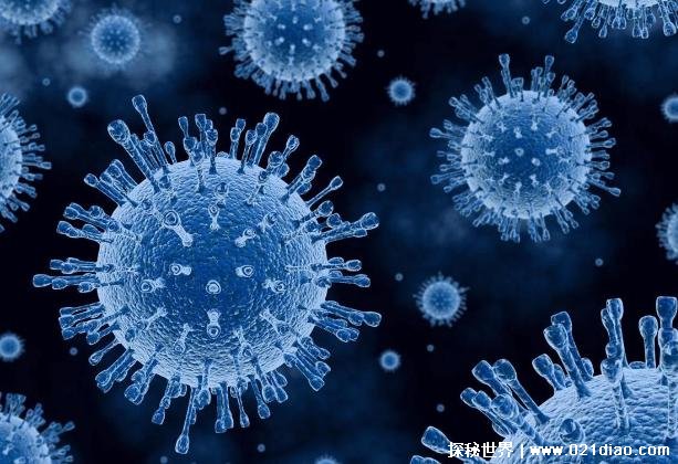 世界十大最恐怖的传染病 马尔堡病毒第一(死亡率高)