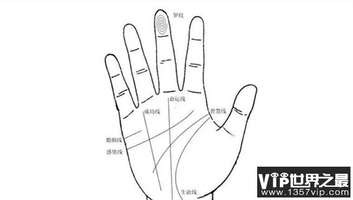 看手相算命五大主线、掌丘图解