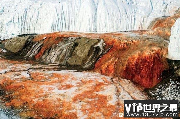 世界上最恐怖的瀑布 南极洲的血瀑布场面壮观(需提高警惕)