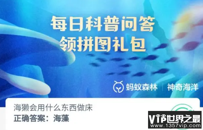 海獭会用什么东西做床 神奇海洋8月14日答案