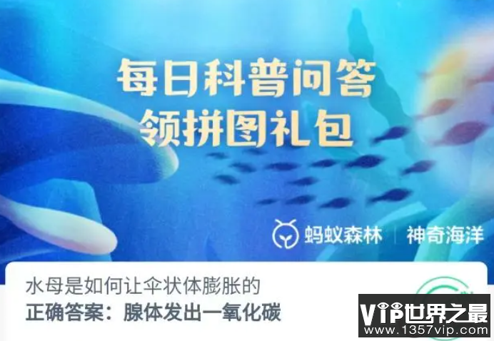 水母是如何让伞状体膨胀的 神奇海洋8月31日答案