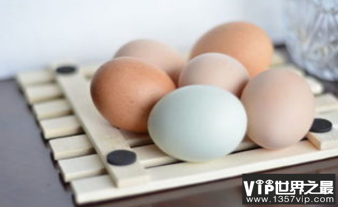 可生食鸡蛋安全吗 如何看待可生食鸡蛋的流行