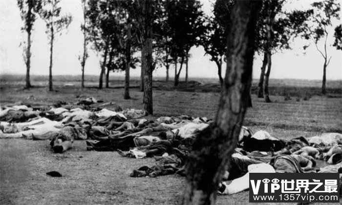 1915年亚美尼亚大屠杀：少女被钉在十字架上，活人被当成试验品