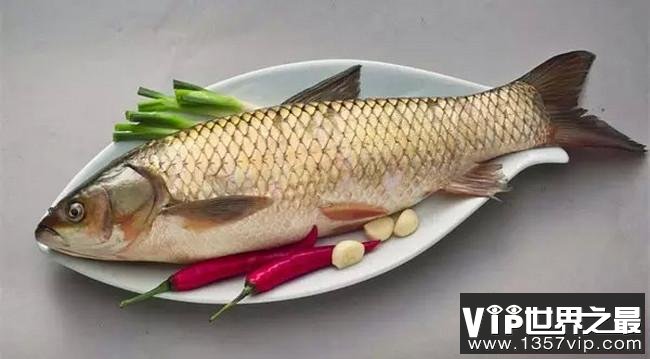 中国四大家鱼是哪四种 哪个最好吃