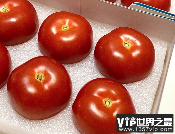长期吃西红柿真的能变白吗 西红柿生吃好还是熟吃好