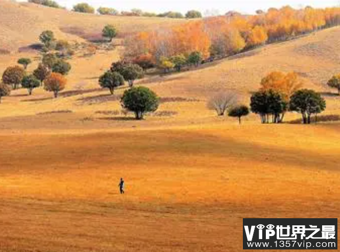 以下哪个成语描写的秋天的景物 蚂蚁庄园10月10日答案介绍