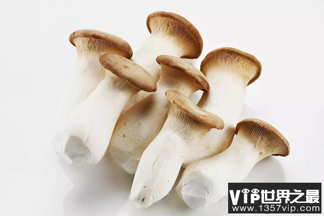 菌菇的功效都有什么 秋季适合吃什么菌菇
