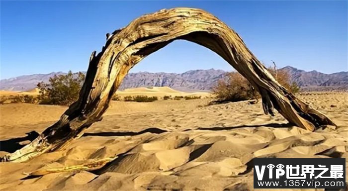 世界上地表温度最高的地方 伊朗的卢特荒漠（最高温度）