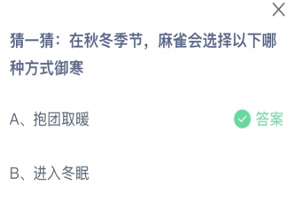 在秋冬季节麻雀会选择以下哪种方式御寒 蚂蚁庄园10月31日答案