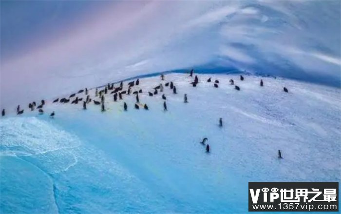 地球上最后的几片“净土”：几乎与世隔绝，风景堪称世界顶级