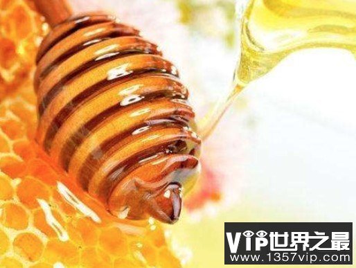 世界上最贵的蜂蜜，售价高达每公斤5000欧