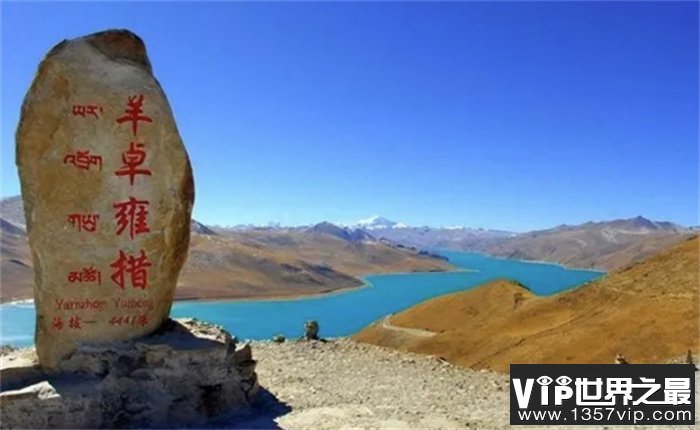 西藏羊湖8亿公斤鱼类泛滥成灾，随手就可捕捞，为何无人敢吃？