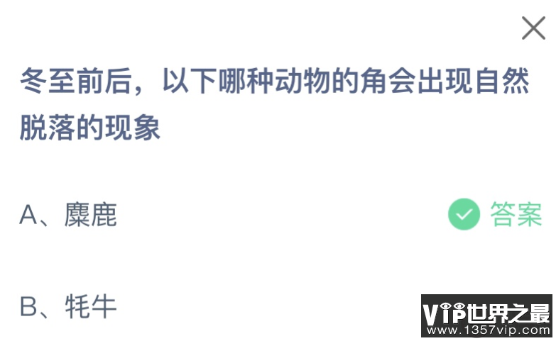 冬至前后以下哪种动物的角会出现自然脱落的现象 蚂蚁庄园12月22日答案