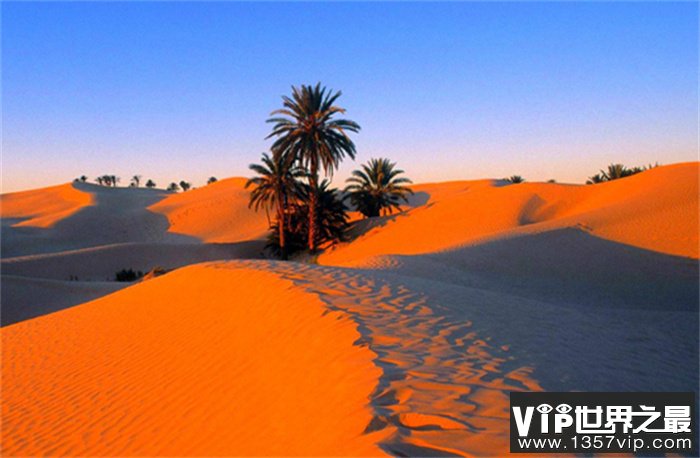 世界上面积最大的沙漠 占据非洲广大地区（撒哈拉沙漠）