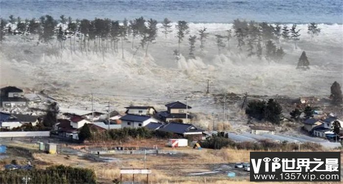 碰到50m海啸是扎进海里还是跑向陆地（跑向陆地）