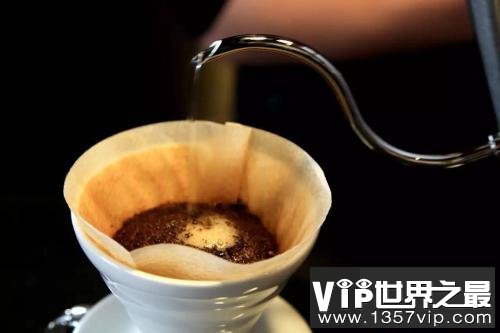 世界上最贵的咖啡，2700多元人民币一千克！