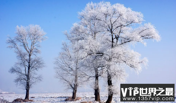 配雪景的唯美文字