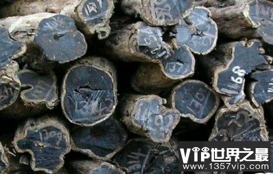盘点世界上最名贵的木材排名，每个都是木头宝贝。