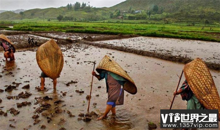 世界上降水量最大的地方 几乎每天都在下雨（毛辛拉姆）