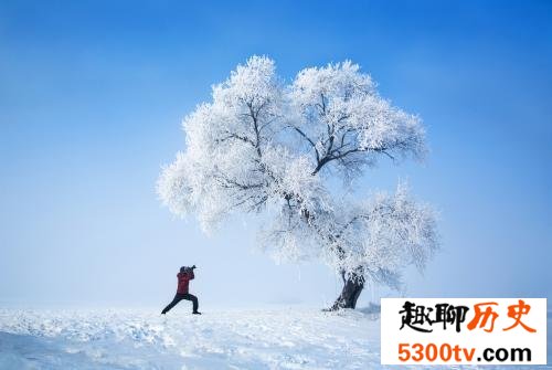 冬季国内十大最佳看雪地，快来这些地方观看漫天鹅毛大雪！