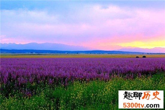 中国十大最美的薰衣草花田，这么美的薰衣草花海你见过吗？
